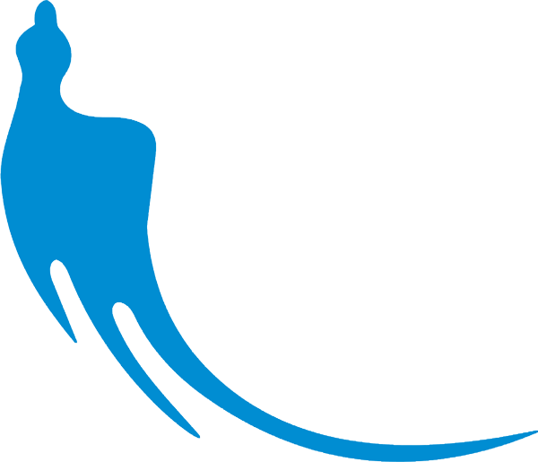 إيرانيان نافت ايرلاينز